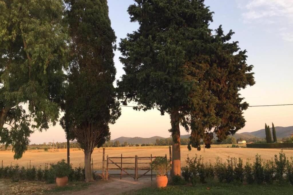 Azienda Agricola Maremma Bio 马西利亚纳 外观 照片